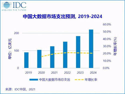 2024年,中国大数据市场规模将超220亿美元